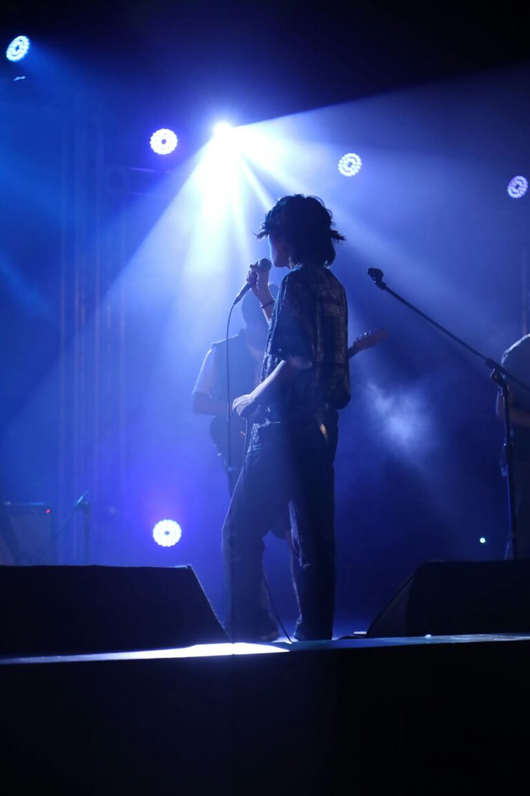 Silhouette of male singer performing at night concert under blue lights.